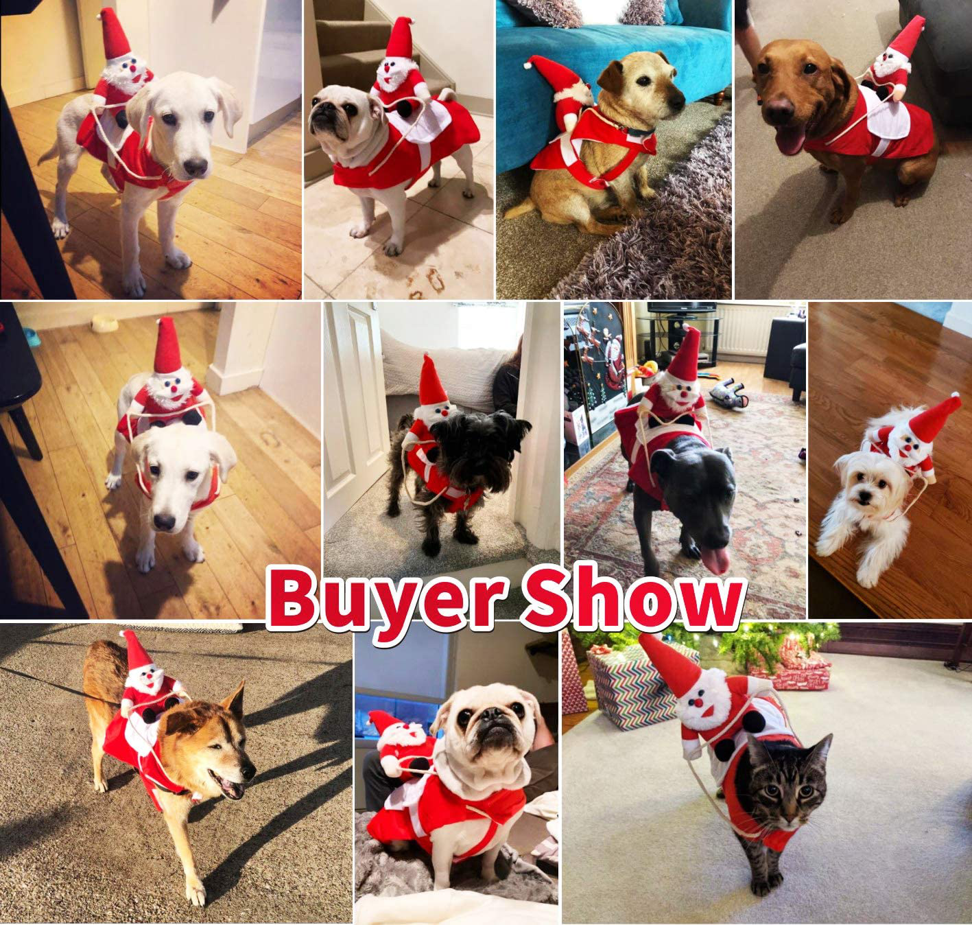 Halloween/Christmas Funny Pet Dog/Cat Santa Claus Carry Christmas