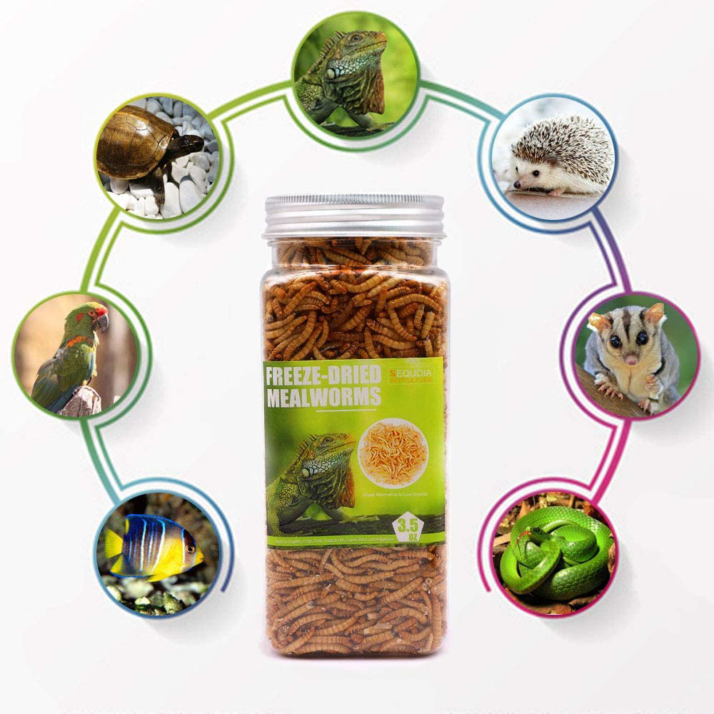 Reptile Food Freeze Dried Mealworms Pet Worms Food for Bearded Dragon, Lizard, Turtles, Chameleon, Monitor, Frog, Birds, Fish, Hamsters and Hedgehogs Animals & Pet Supplies > Pet Supplies > Reptile & Amphibian Supplies > Reptile & Amphibian Food Sequoia   