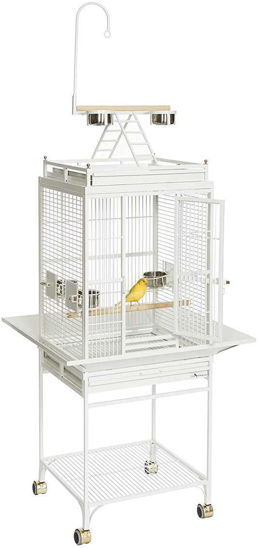 Midwest Homes for Pets Nina Bird Cage Animals & Pet Supplies > Pet Supplies > Bird Supplies > Bird Cages & Stands MidWest Homes for Pets   