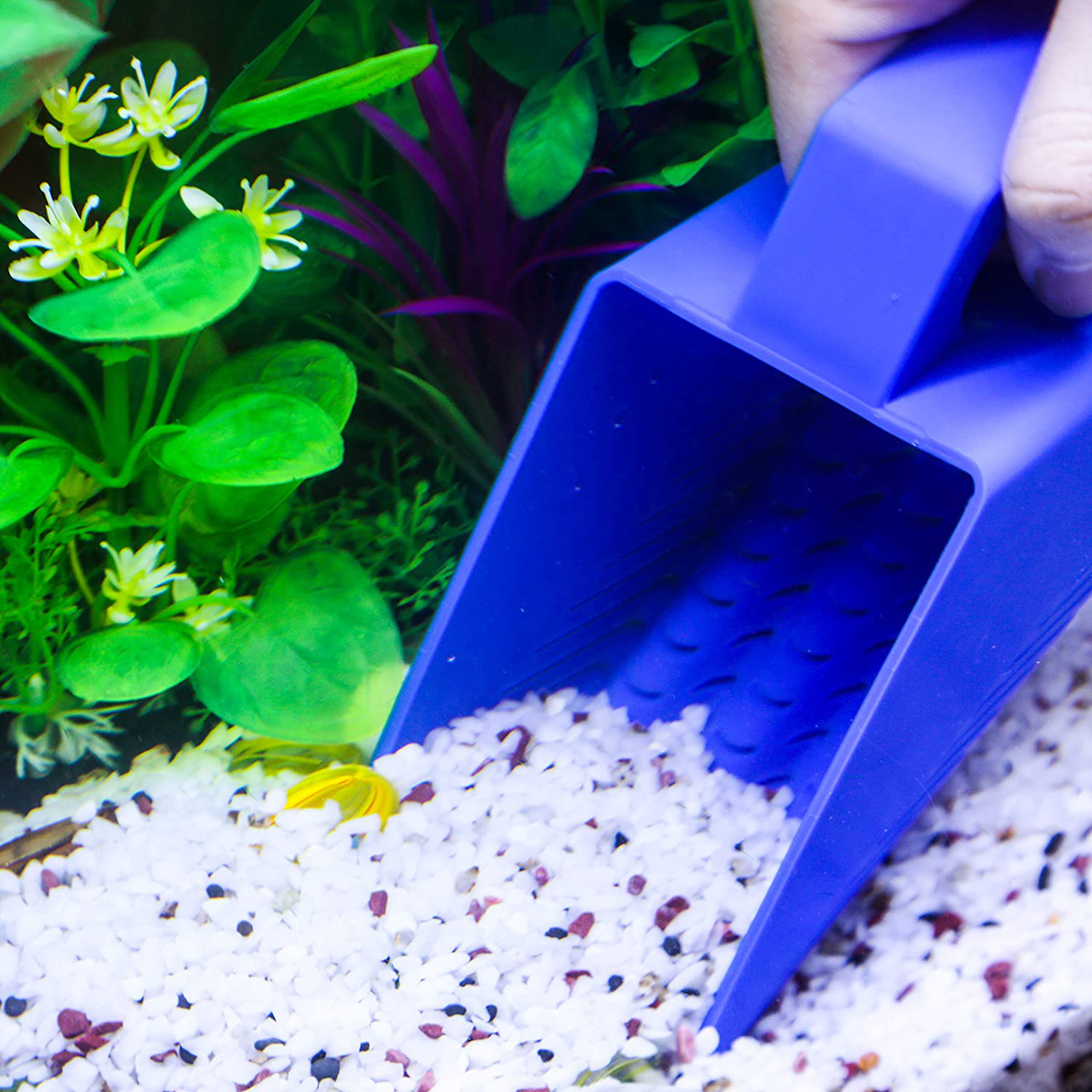 Aqua KT Aquarium Gravel Sand Shovel Scoop Cleaner Blue for Fish Tank Cleaning Tool