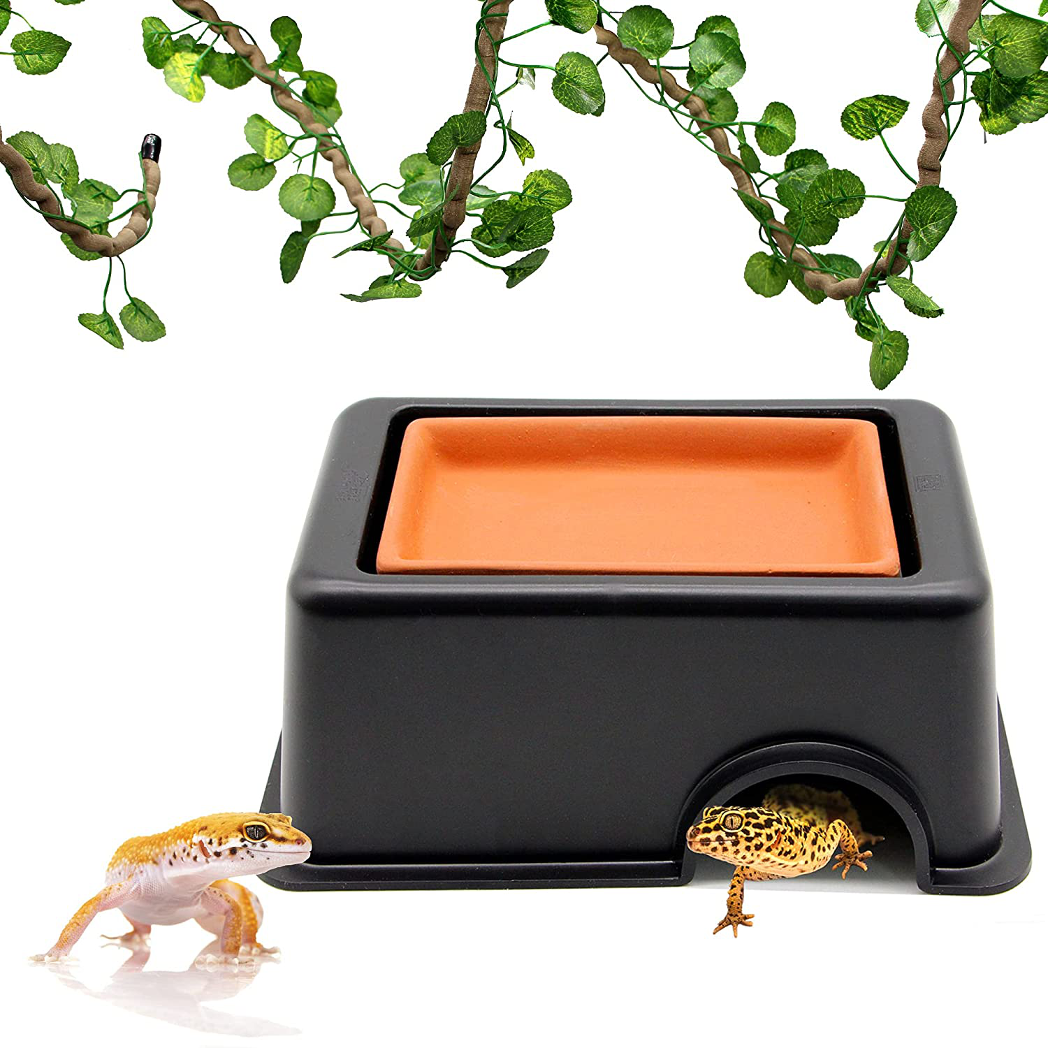How to Set Up a Humid Hide For Your Pet Reptiles and Why It's So
