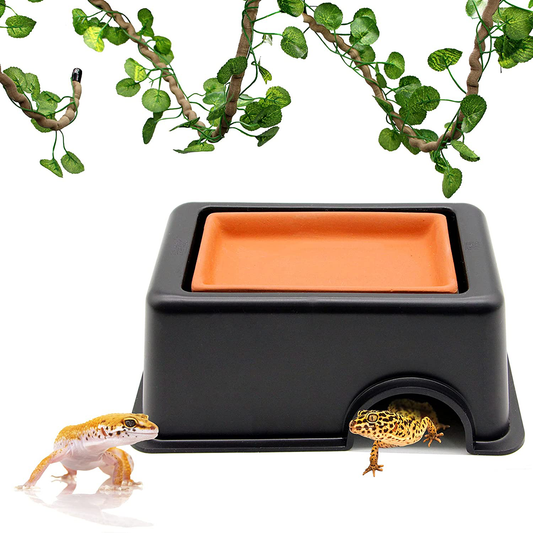 PETWAKEY-ST Reptile Hideout Box，Sink Humidifier Gecko Hide Hut Cave Accessories & Vine Habitat Decor for Small Snake Spiders Frog Turtles Lizards Turtles Animals & Pet Supplies > Pet Supplies > Reptile & Amphibian Supplies > Reptile & Amphibian Substrates PETWAKEY-ST   