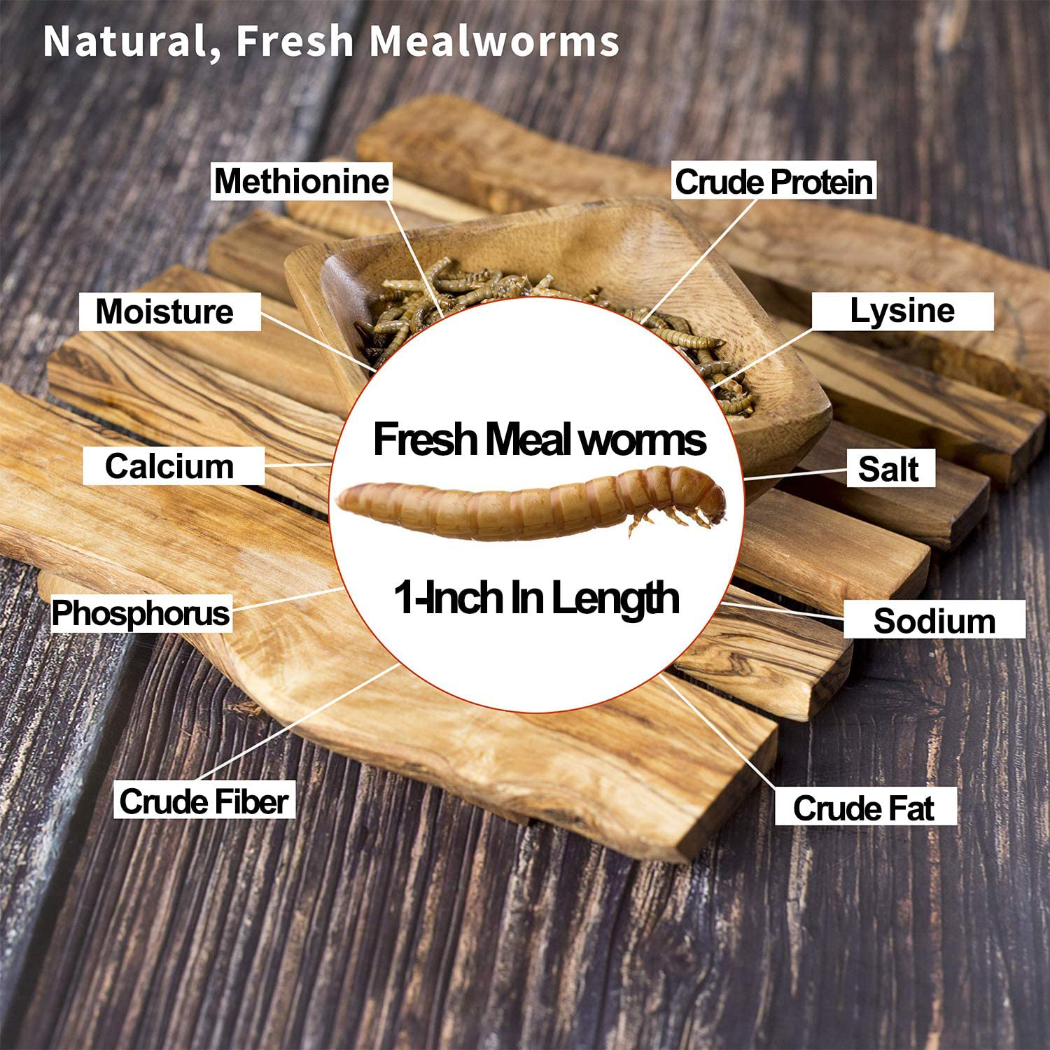 Fresh Mealworms 8.4 Oz (1600 Count Total, 12 Bags) Superior to Live Mealworms - Premium Food for Leopard Gecko, Exotic Bird Food, Sugar Glider Food, Hedgehog Food -High Nutritients, No Preservatives Animals & Pet Supplies > Pet Supplies > Reptile & Amphibian Supplies > Reptile & Amphibian Food Amzey   