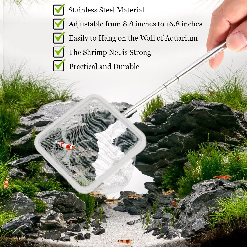 Sungrow Shrimp Net, Professional-Grade Stainless Steel Telescopic Handle, Soft Woven Fishing Net for All Aquatic Pets, Easily Catch Shrimp, Betta and All Aquatic Pets, White Color Animals & Pet Supplies > Pet Supplies > Fish Supplies > Aquarium Fish Nets SunGrow   