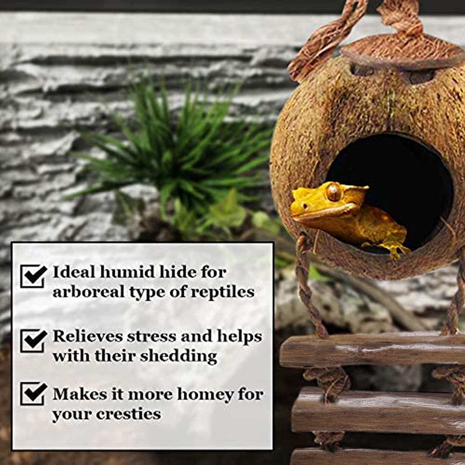 Sungrow Crested Gecko Coco Den with Ladder, 5” Diameter, 2.5” Cave Opening, Raw Coconut Husk Habitat with Hanging Loop, 1 Pc per Pack Animals & Pet Supplies > Pet Supplies > Reptile & Amphibian Supplies > Reptile & Amphibian Habitat Accessories SunGrow   