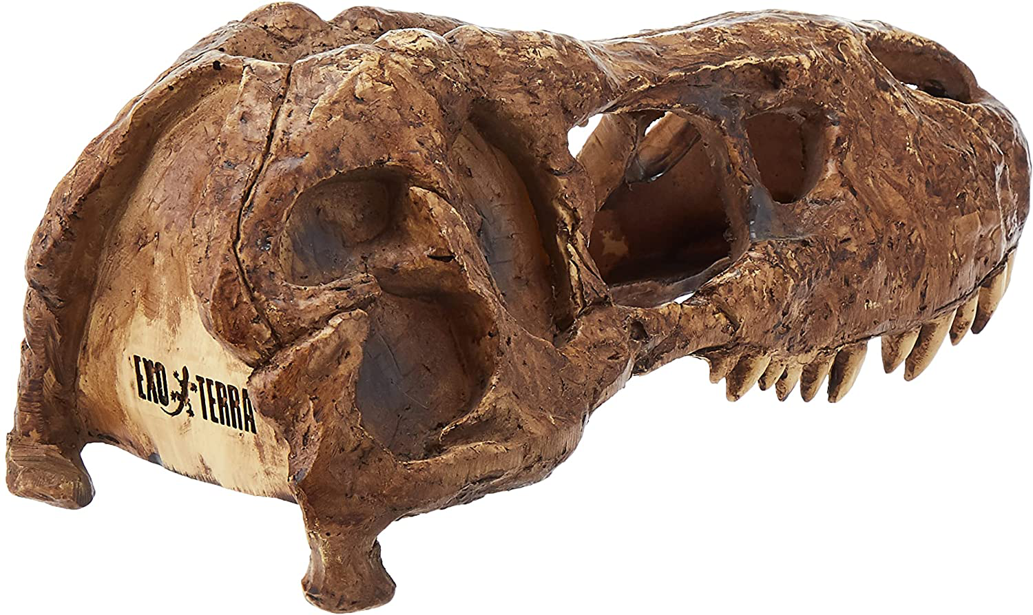 Exo Terra T-Rex Skull Terrarium Decor Animals & Pet Supplies > Pet Supplies > Reptile & Amphibian Supplies > Reptile & Amphibian Habitat Accessories Exo Terra   