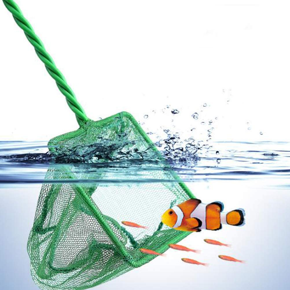 DAGUANZHI 3in 4in 6in Fine Mesh Aquarium Fish Net with Long Handle, Green -  Safe and Gentle Nylon Nets for Catching Small Fish and Debris