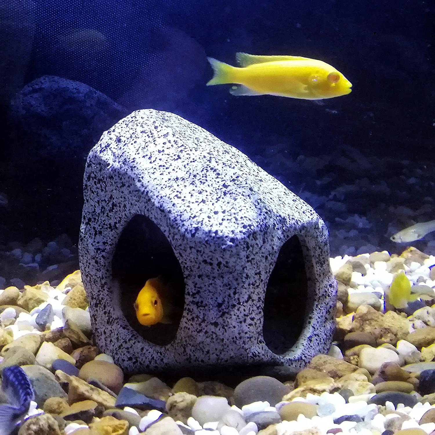 Springsmart Aquarium Hideaway Rock Cave for Aquatic Pets to Breed