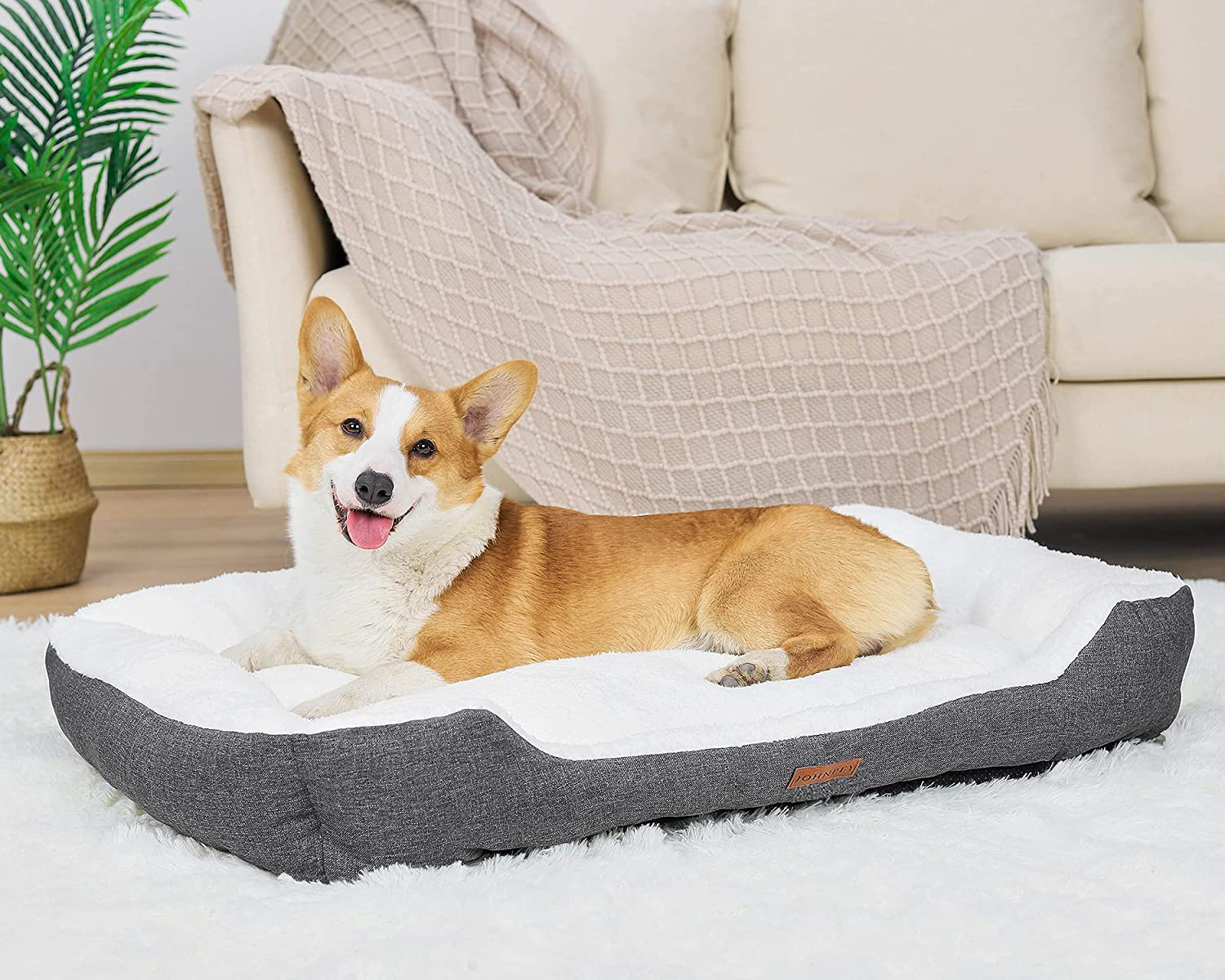 JOHNPEY Dog Beds for Medium Dogs up to 50 Lbs, Comfortable and Fluffy Dog Bed, Durable and Machine-Washable, Dark Gray Animals & Pet Supplies > Pet Supplies > Dog Supplies > Dog Beds JOHNPEY   