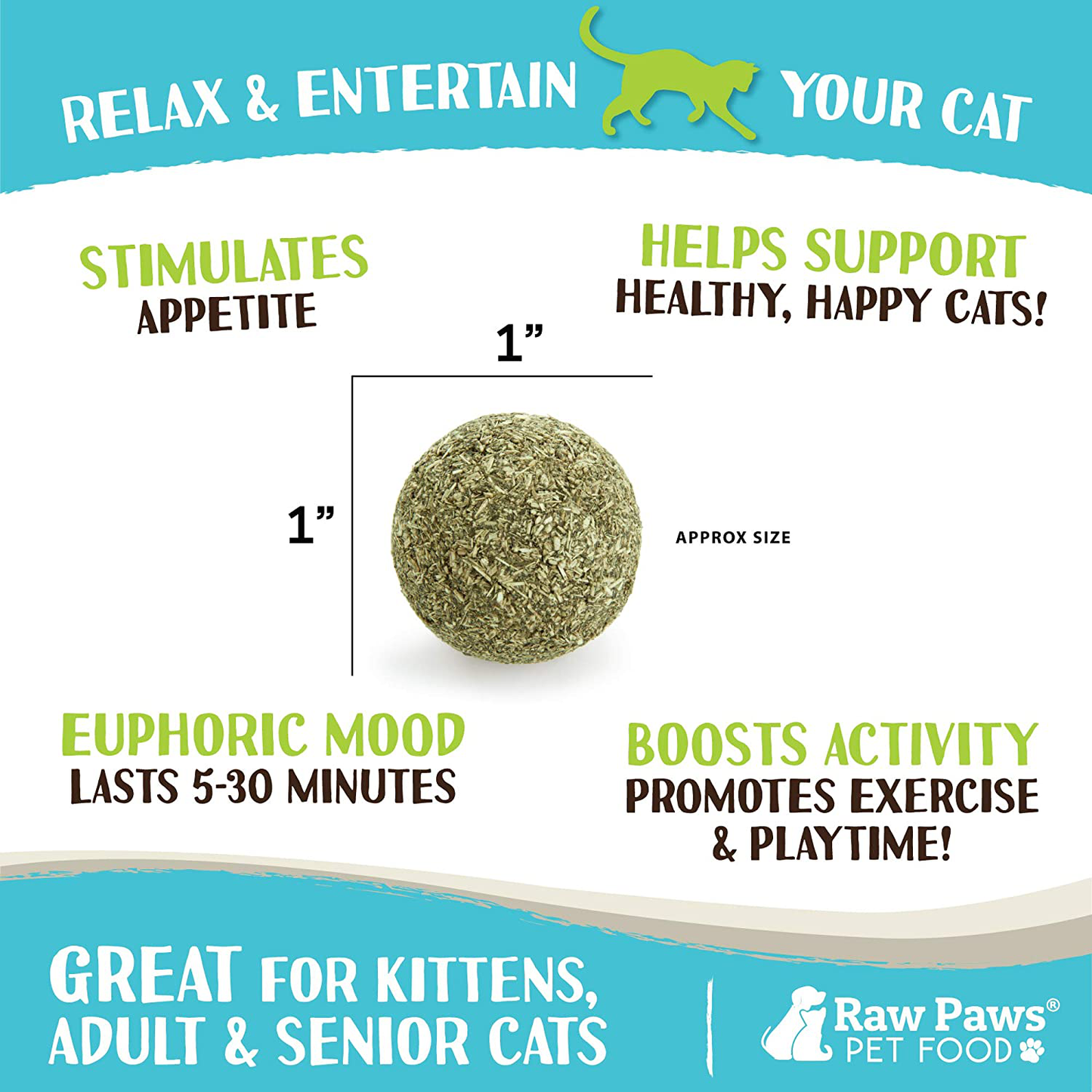 Raw Paws Compressed Catnip Ball Toy, 6 Pack - Catnip Toys for Indoor Cats - All Natural Catnip for Cats - Cat Toy Interactive Ball - Cat Kicker Toy Catnip Cat Toys - Cat Nip Kitty Toys - Cat Ball Toy Animals & Pet Supplies > Pet Supplies > Cat Supplies > Cat Toys Raw Paws   