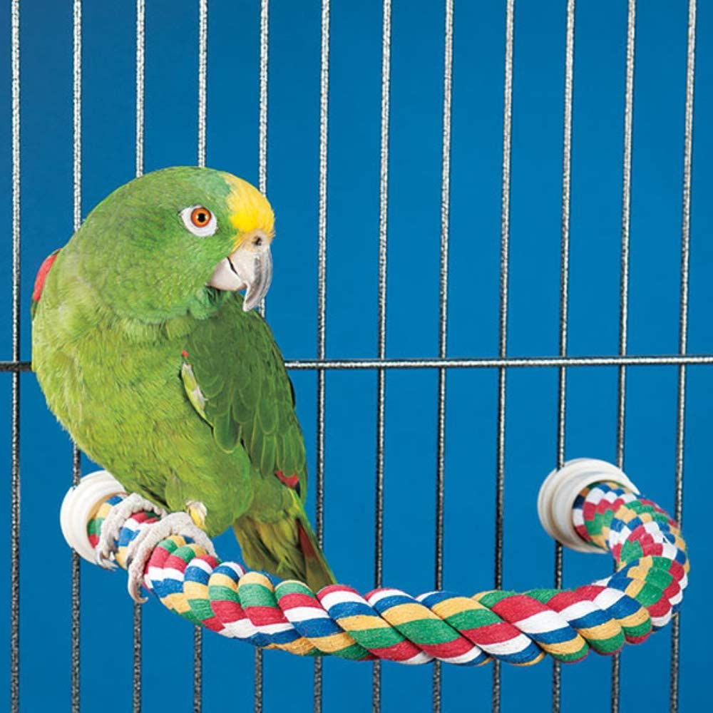 JW Pet Comfy Perch for Birds Flexible Multi-Color Rope. 28" L Animals & Pet Supplies > Pet Supplies > Bird Supplies > Bird Ladders & Perches JW   