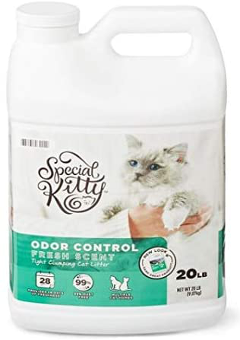 Special Kitty Scoopable Fresh Scent Tight Clumping Cat Litter, 20 Lb (Pack of 3)