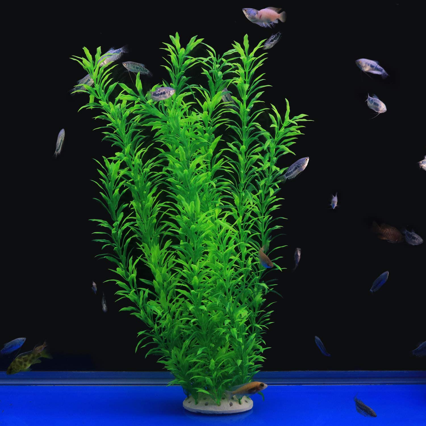 Lantian Green Grass Cluster Aquarium Décor Plastic Plants 21 Inches Tall CH0701 Animals & Pet Supplies > Pet Supplies > Fish Supplies > Aquarium Decor Lantian   