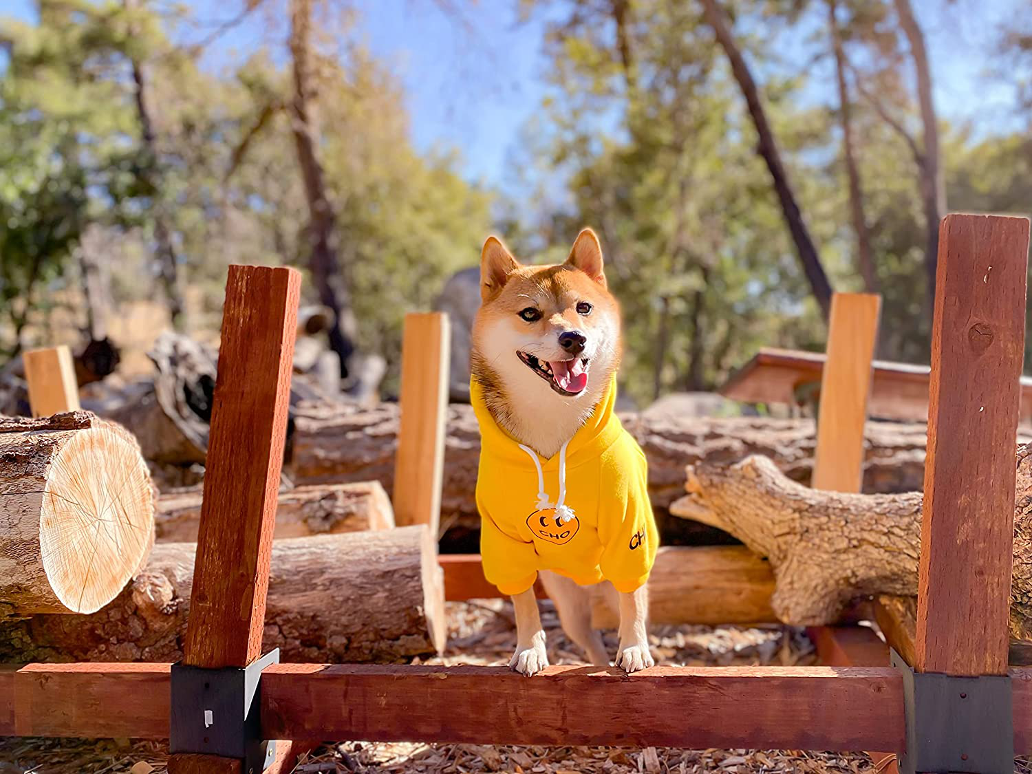 Sweatshirt with dogs sales face on it