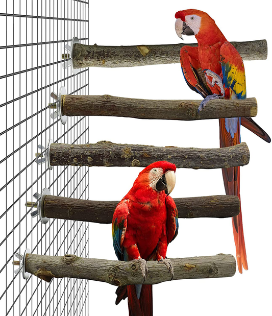 Storystore Bird Perches Natural Wood Parrot Perch for Parakeet Cage Accessories Parakeet Toys for Parrots, Parakeets Cockatiels, Conures, Macaws, Love Birds, Finches Animals & Pet Supplies > Pet Supplies > Bird Supplies > Bird Cage Accessories Storystore 5.9 Inches long  