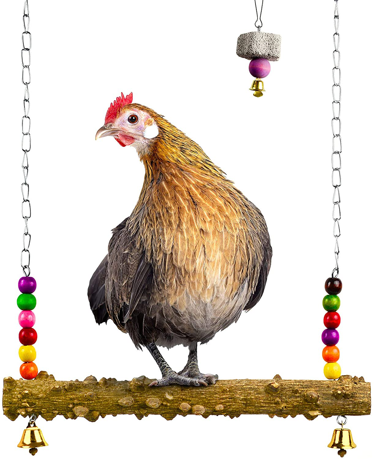 MASANI Chicken Coop Swing - 2 Pack Natural Wood - Stainless Steel Hooks - Steady Heavy-Duty Chains - Small Charming Copper Bells - Supports up to 20Lbs - Complete with Peck Bird Toy Animals & Pet Supplies > Pet Supplies > Bird Supplies > Bird Toys MASANI   