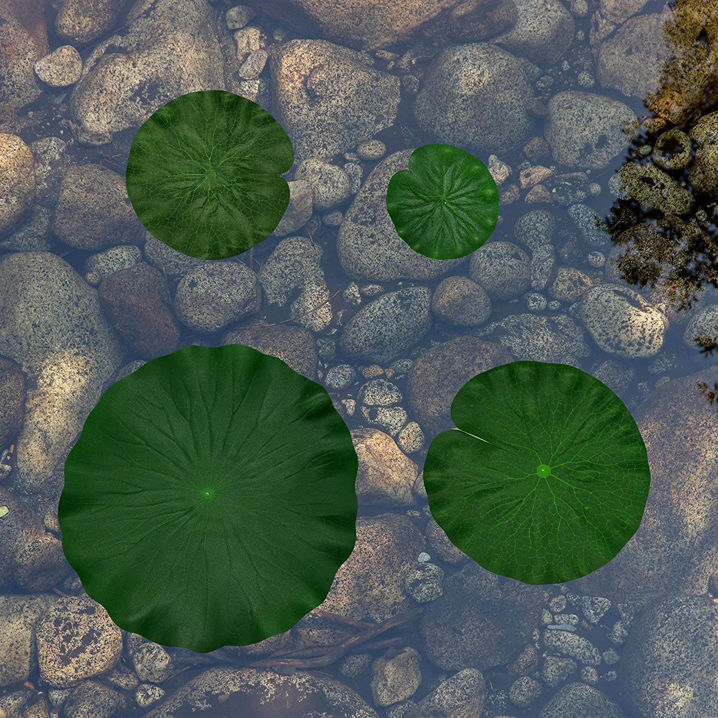 Artificial Floating Foam Lotus Leaves Decor for Pond Aquarium and Stage Realistic Lotus Foliage Green Plant for Fish Pool Decoration Pack of 8, 4 Sizes (10, 15, 20, 28Cm) Animals & Pet Supplies > Pet Supplies > Fish Supplies > Aquarium Decor IFAMIO   