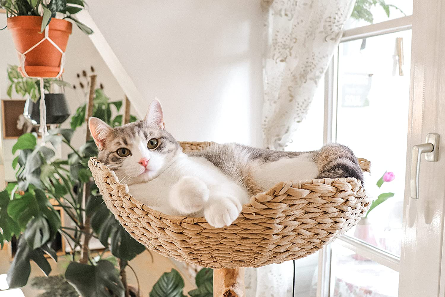 Wicker sales cat condo
