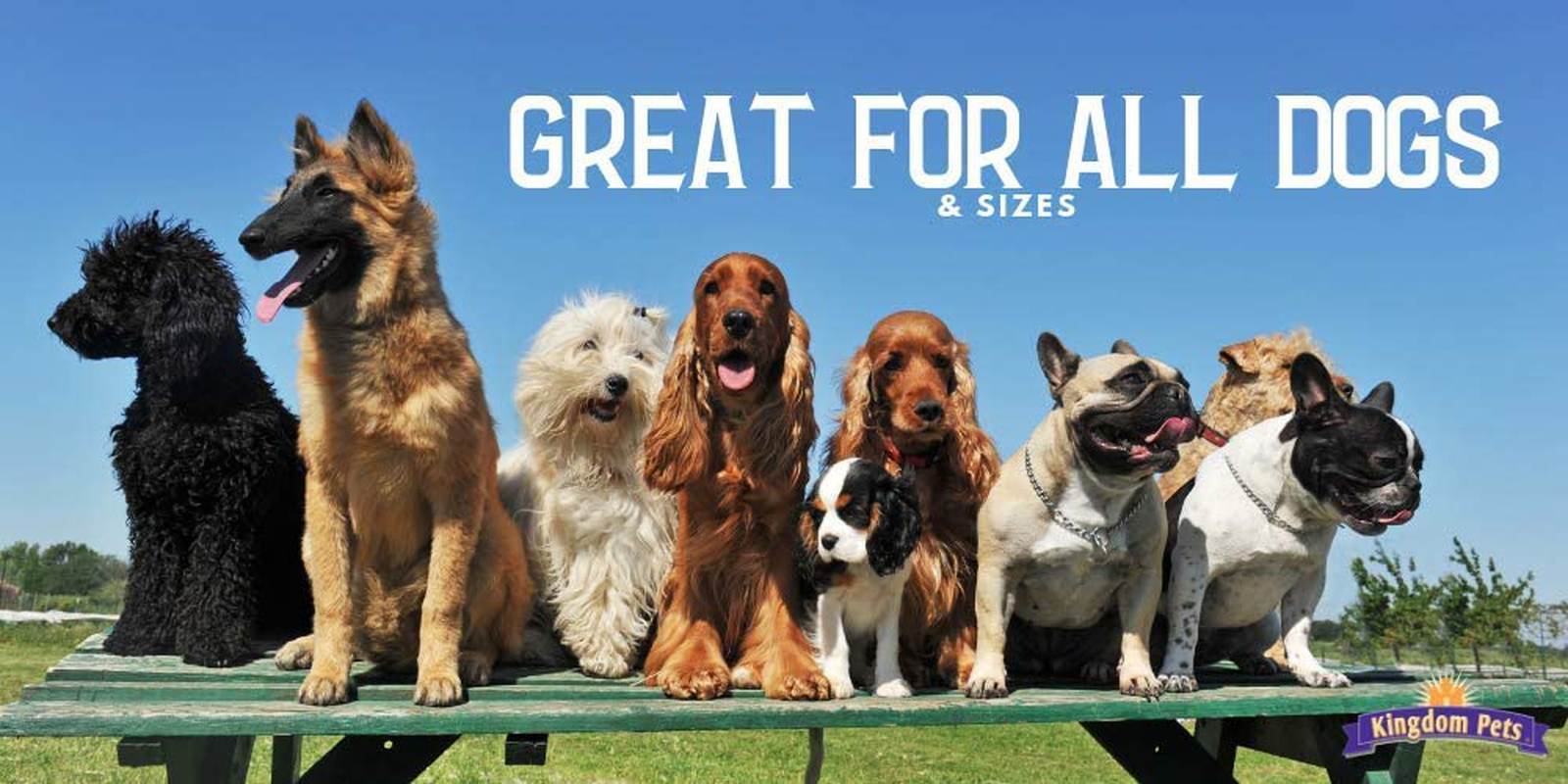 Kingdom Pets Duck Breast Jerky Premium Treats for Dogs 40 Oz