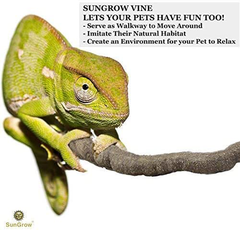 Sungrow Animal Vine, 6 Feet Long, Twistable Branch, Creates Realistic Habitat for Reptiles and Amphibians, Décor and Climbing Toy for Chameleons, Tree Frogs and Geckos, Includes 5 Suction Cups Animals & Pet Supplies > Pet Supplies > Reptile & Amphibian Supplies > Reptile & Amphibian Habitats SunGrow   