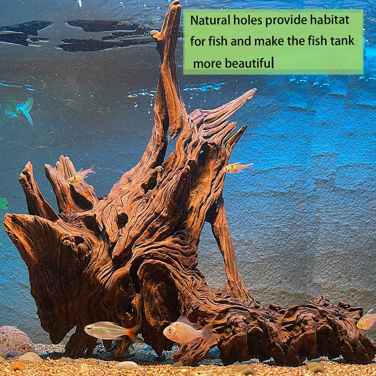  majoywoo Natural Large Coral Driftwood for Aquarium Decor  Reptile Decor, Assorted Driftwood Branch 9-14 2 Pcs, Fish Tank Decoration…  : Pet Supplies