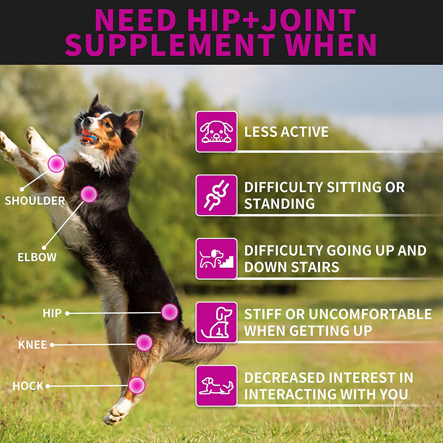 Hip and Joint Supplement for Dogs - 120 Soft Chews with HEMP Oil & HEMP Powder, Glucosamine, Chondroitin, MSM, Turmeric, Premium Dog Glucosamine for Pet Mobility Support and Inflammation Relief Animals & Pet Supplies > Pet Supplies > Small Animal Supplies > Small Animal Treats Leckerli Vet   