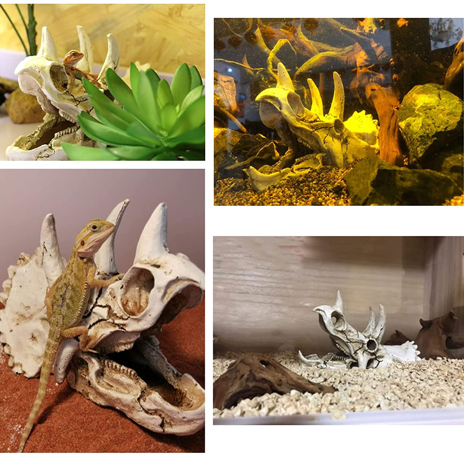 Tfwadmx Bearded Dragon Tank Accessories Resin Dinosaur Triceratops Skull Skeleton Reptiles Hideouts Cave Vines Leaves Aquarium Decorations for Lizards,Chameleon,Snake,Spider,Gecko Animals & Pet Supplies > Pet Supplies > Small Animal Supplies > Small Animal Habitat Accessories Tfwadmx   