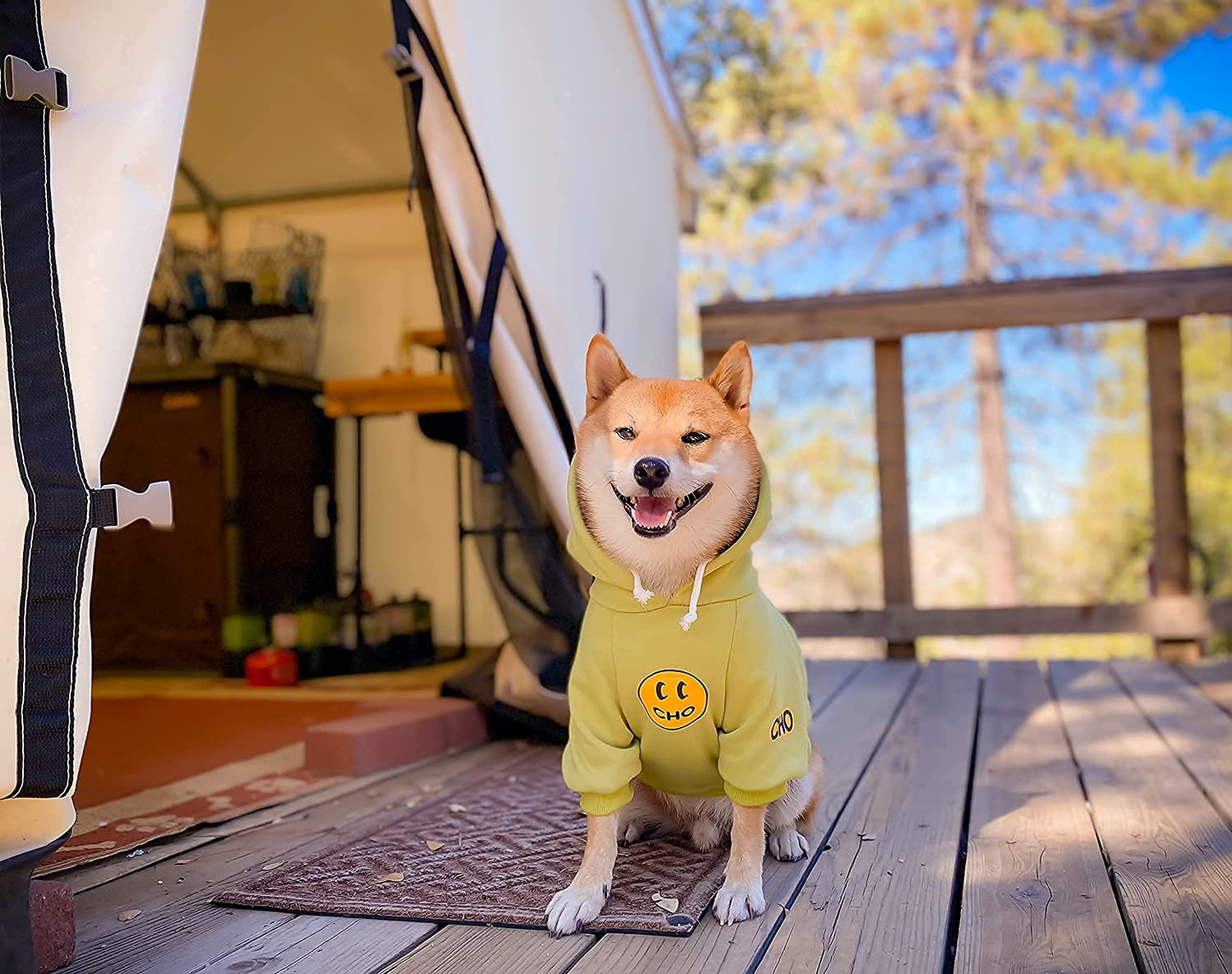 Chochocho Smile Dog Hoodie, Smiley Face Dog Sweater, Stylish Dog Clothes, Cotton Sweatshirt for Dogs and Puppies, Fashion Outfit for Dogs Cats Puppy Small Medium Large Animals & Pet Supplies > Pet Supplies > Dog Supplies > Dog Apparel ChoChoCho Pet Supplies   