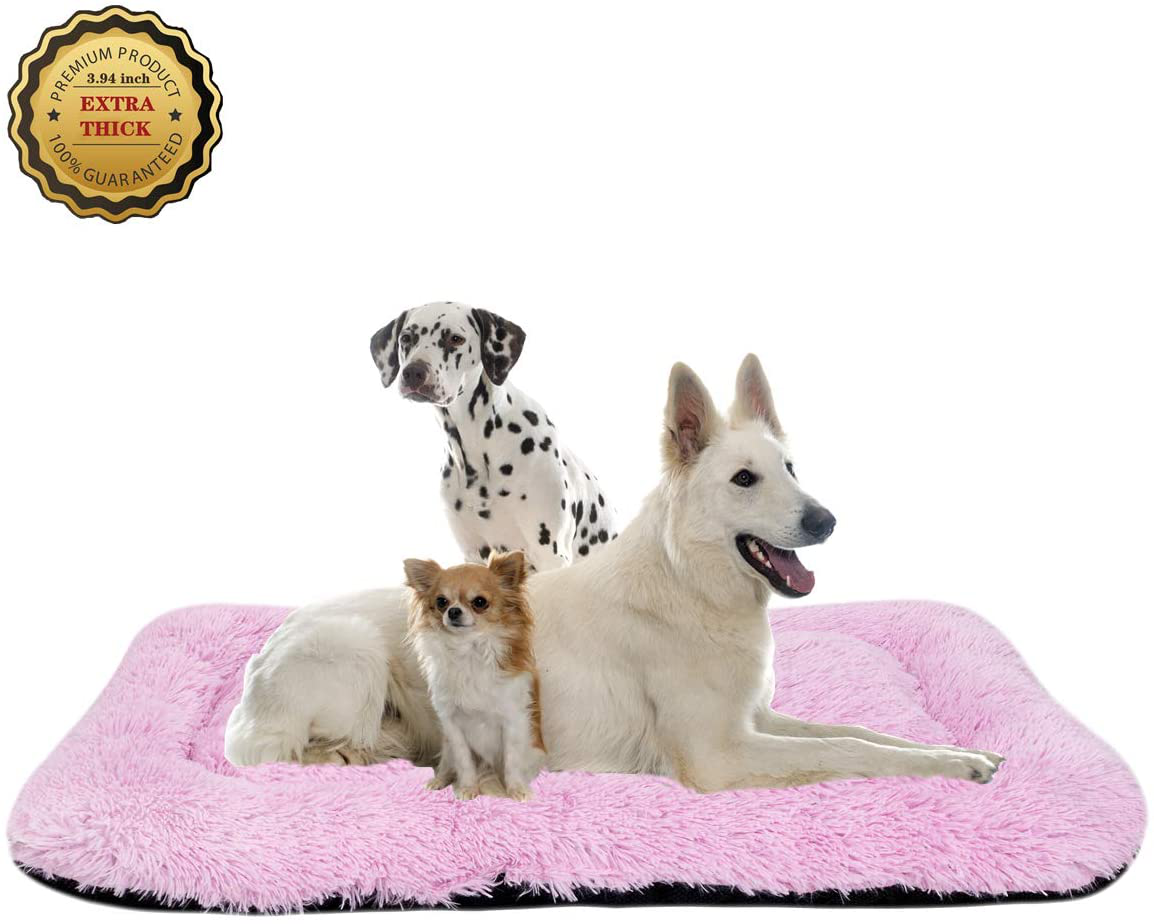 Large pet outlet pillow