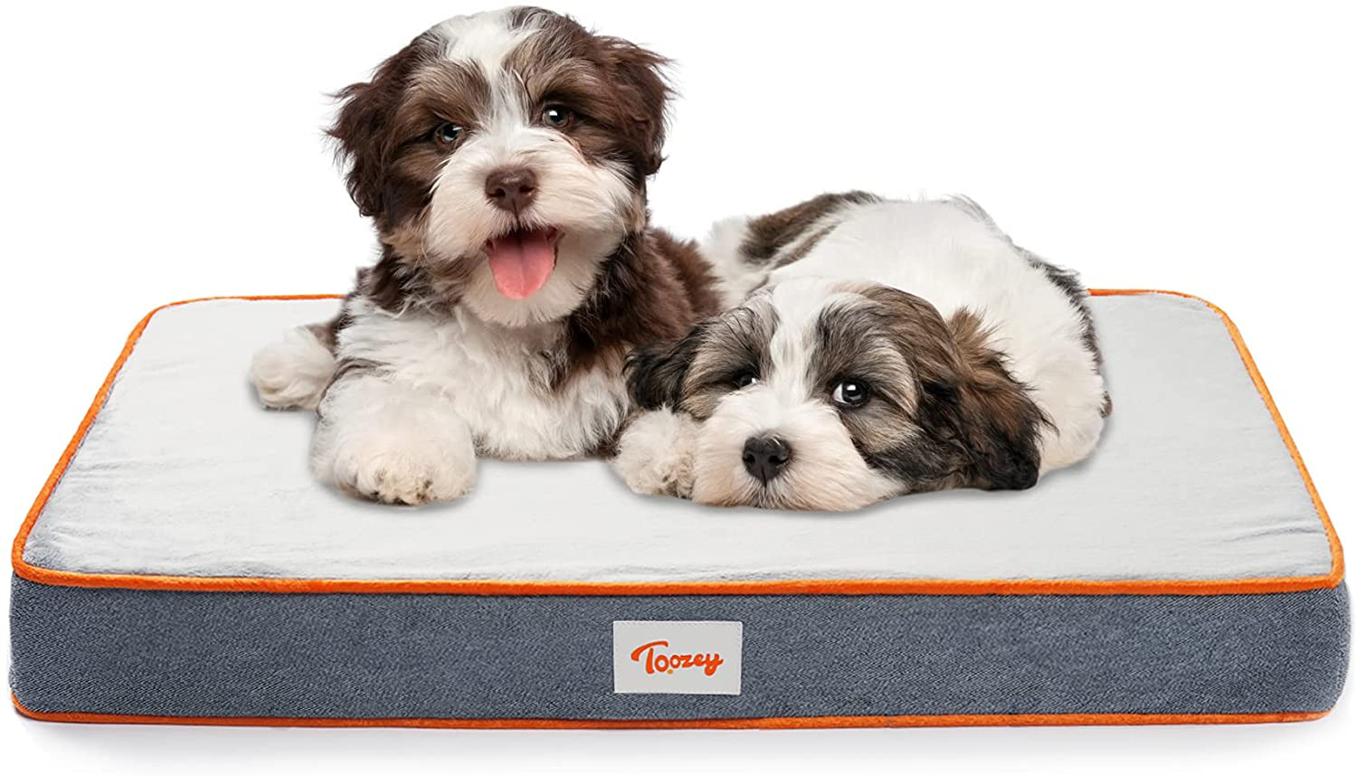 Medium dog bed with removable cover clearance
