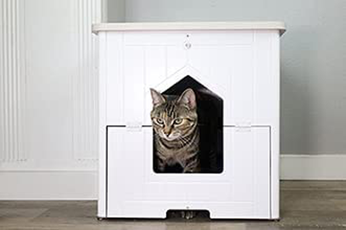 Palram CATSHIRE Cat Litter Box Furniture, Enclosed Litter Tray for Cats, Kitty End Table, Hidden Pet House Enclosure, Feline Hideaway