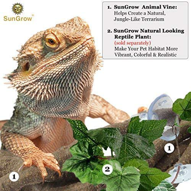 Sungrow Animal Vine, 6 Feet Long, Twistable Branch, Creates Realistic Habitat for Reptiles and Amphibians, Décor and Climbing Toy for Chameleons, Tree Frogs and Geckos, Includes 5 Suction Cups