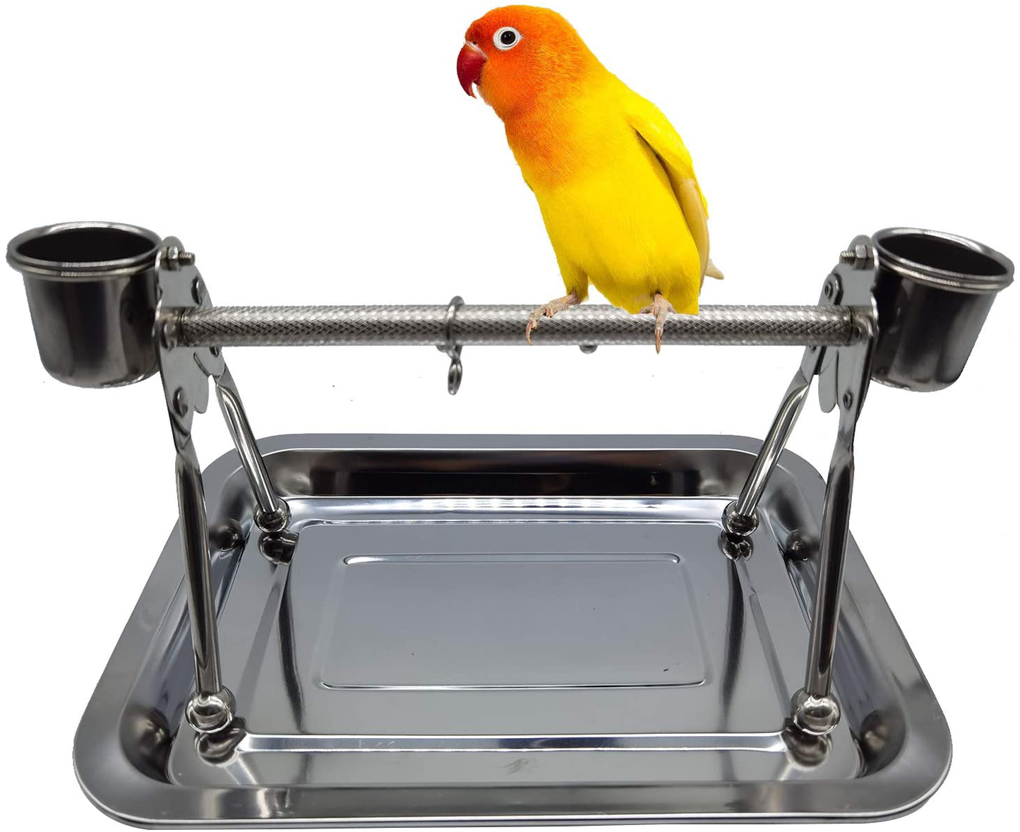 Tfwadmx Parrot Playstand,Stainless Steel Bird Playgound Play Gym Platform Table Top Perch with Feeding Cups Tray for Conure Parakeet Lovebird Cockatiel. Animals & Pet Supplies > Pet Supplies > Bird Supplies > Bird Gyms & Playstands Tfwadmx   