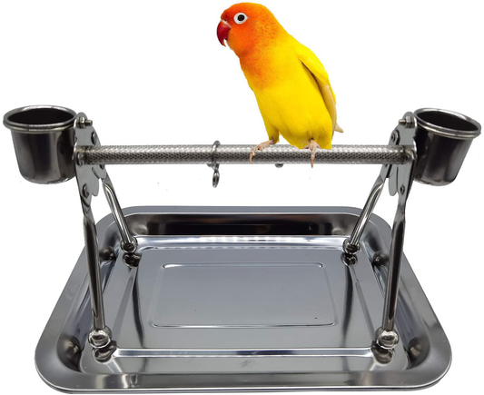 Tfwadmx Parrot Playstand,Stainless Steel Bird Playgound Play Gym Platform Table Top Perch with Feeding Cups Tray for Conure Parakeet Lovebird Cockatiel. Animals & Pet Supplies > Pet Supplies > Bird Supplies > Bird Gyms & Playstands Tfwadmx   