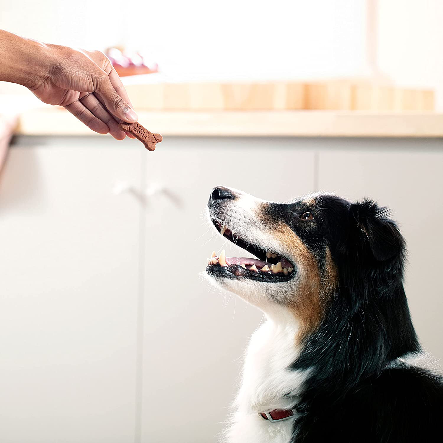 Milk-Bone Soft & Chewy Dog Treats with 12 Vitamins and Minerals Animals & Pet Supplies > Pet Supplies > Small Animal Supplies > Small Animal Treats J.M. SMUCKER COMPANY   