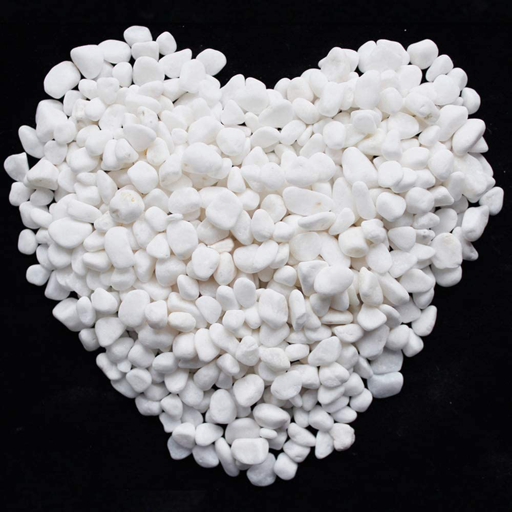 WAYBER pierres blanches galets décoratifs sable de roche pour Aquarium – KOL  PET