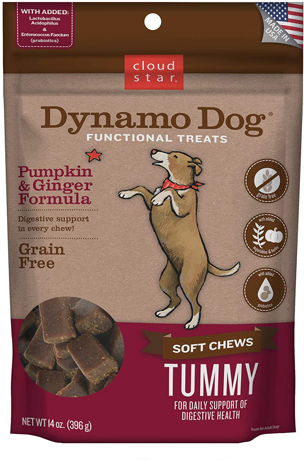 Cloud Star Dynamo Dog Tummy Treats – Soft & Chewy Probiotics Support for Dogs (14 Oz. Pumpkin and Ginger) (20212)