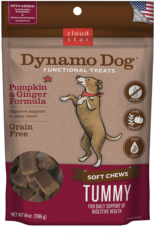 Cloud Star Dynamo Dog Tummy Treats – Soft & Chewy Probiotics Support for Dogs (14 Oz. Pumpkin and Ginger) (20212) Animals & Pet Supplies > Pet Supplies > Dog Supplies > Dog Treats Cloud Star Pumpkin & Ginger 14 Ounce (Pack of 1) 