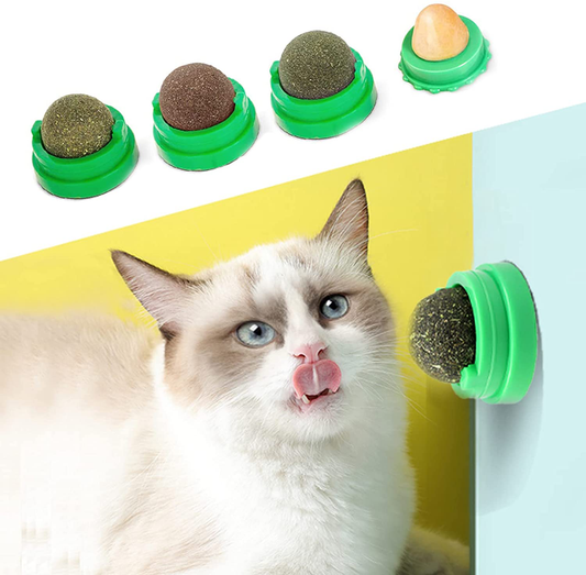 STARROAD-TIM Catnip Balls Catnip Toy for Cats Rotatable Edible Balls Natural Healthy Self-Adhesive Catnip Edible Balls Animals & Pet Supplies > Pet Supplies > Cat Supplies > Cat Toys STARROAD-TIM Green  