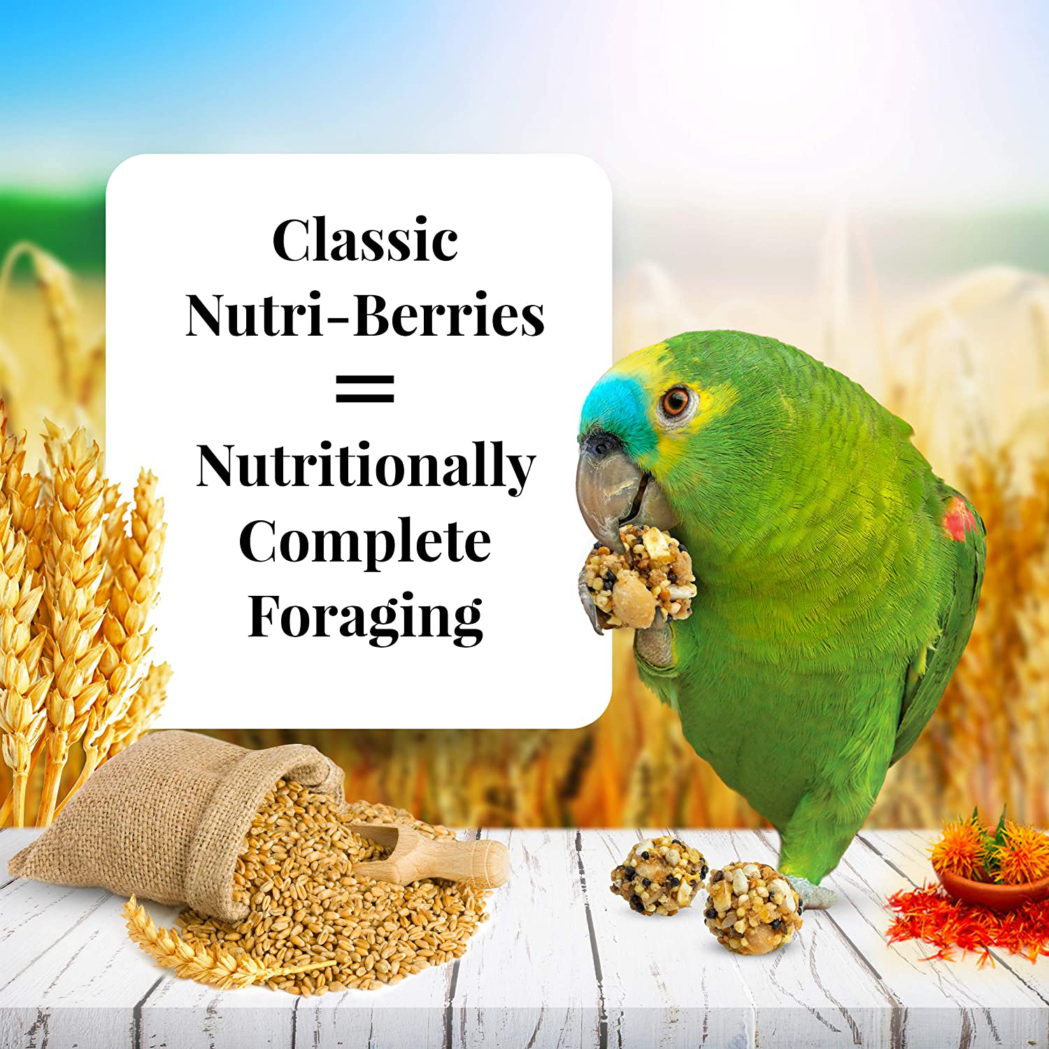 Lafeber Classic Nutri-Berries Pet Bird Food, Made with Non-Gmo and Human-Grade Ingredients, for Parrots, 3.25 Lb Animals & Pet Supplies > Pet Supplies > Bird Supplies > Bird Treats LAFEBER'S   