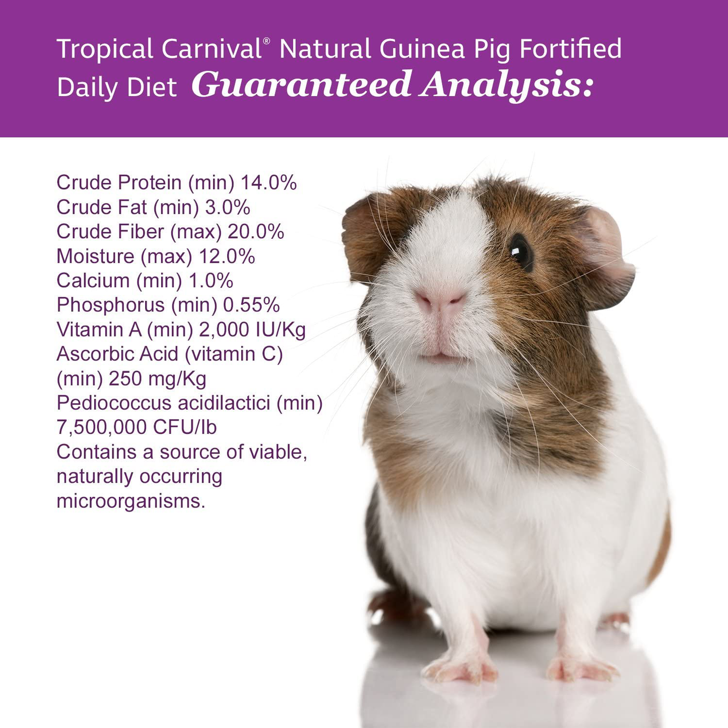 F.M. Brown'S Tropical Carnival, Natural Guinea Pig Food, Vitamin-Nutrient Fortified Daily Diet with Vitamin C and High Fiber Alfalfa and Timothy Hay Pellets for Optimum Digestion, 4 Lb Animals & Pet Supplies > Pet Supplies > Small Animal Supplies > Small Animal Food Tropical Carnival   