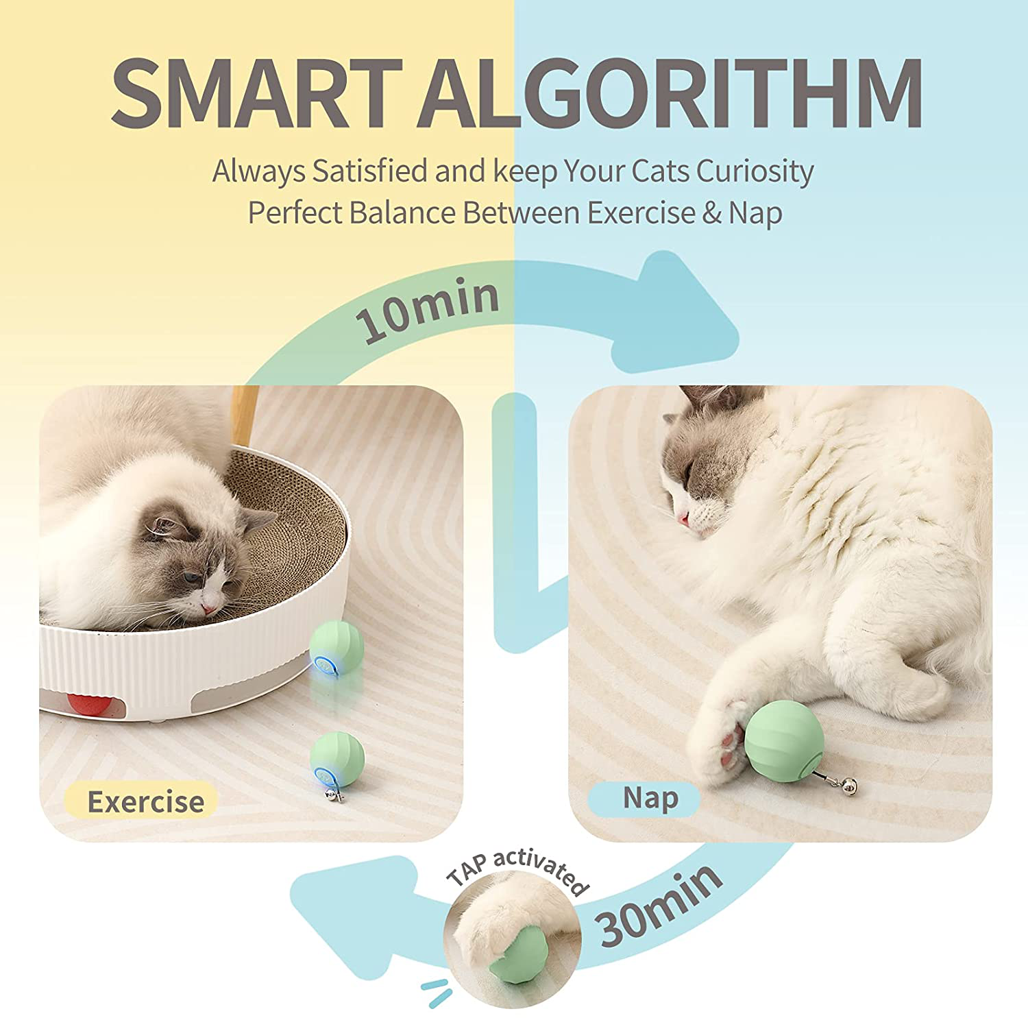 Boqii Cat Toys for Indoor Cats Smart Balls, [3 Modes for Cats' Different Personalities] [Upgrade Plush Material] Interactive Cat Toys Balls, USB Charging Cat Stuff, Automatic Cat Toy as Cat Gifts Animals & Pet Supplies > Pet Supplies > Cat Supplies > Cat Toys boqii   