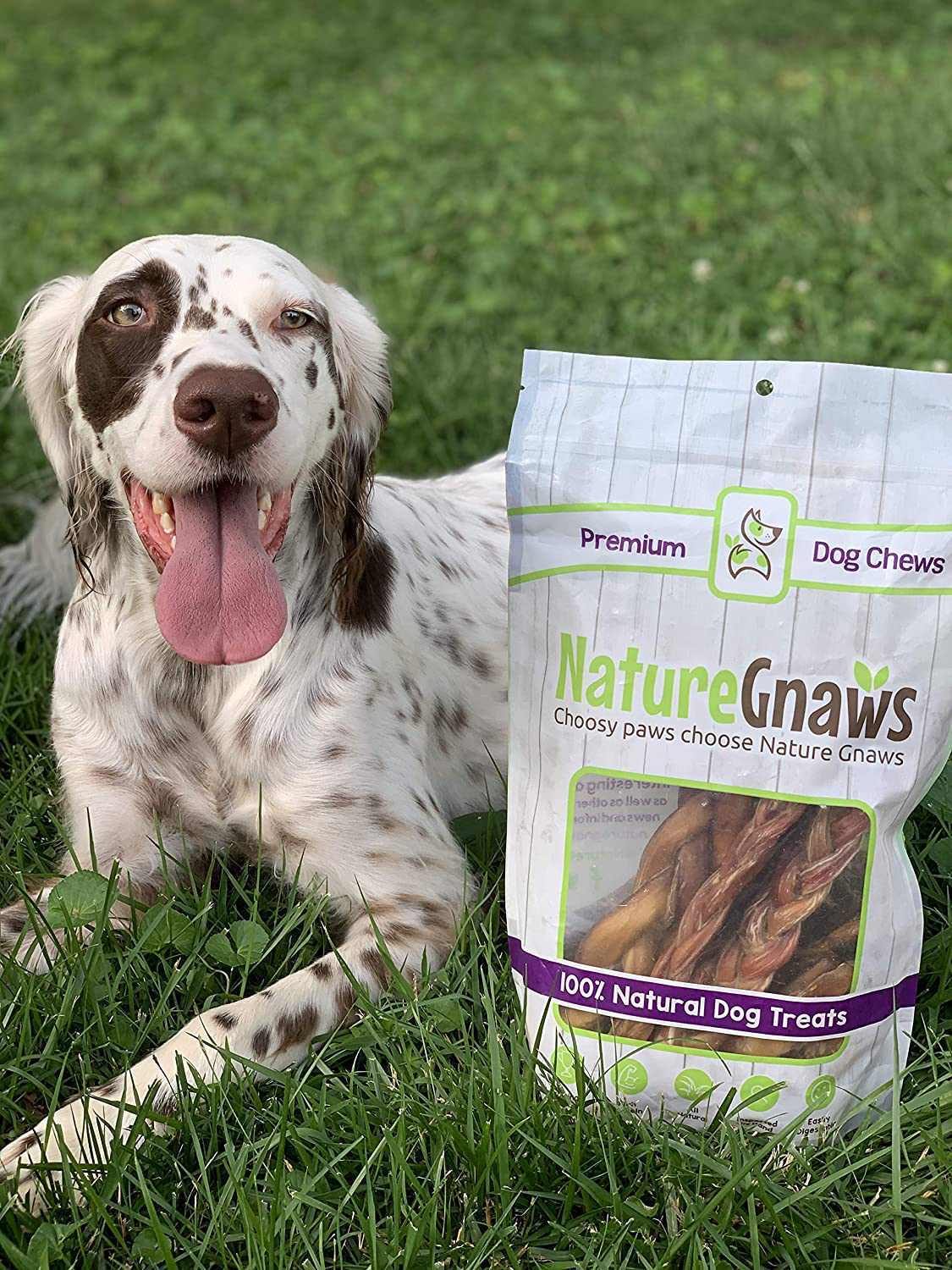 Nature Gnaws Variety Pack Animals & Pet Supplies > Pet Supplies > Small Animal Supplies > Small Animal Treats Nature Gnaws   