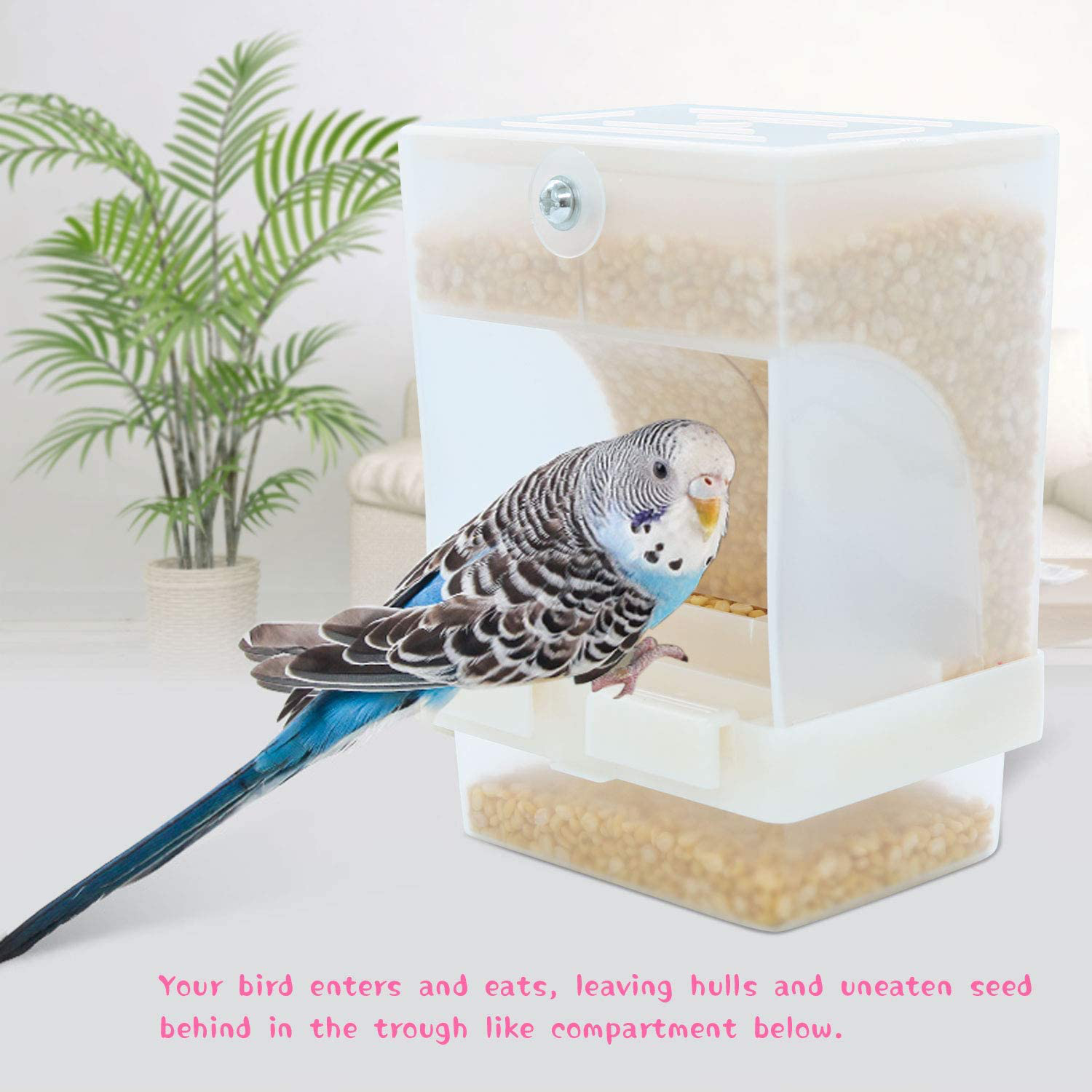 Rypet 2 PCS No-Mess Bird Feeder - Integrated Parrot Automatic Feeder for Small to Medium Birds Seed Food Container Animals & Pet Supplies > Pet Supplies > Bird Supplies > Bird Cage Accessories RYPET   