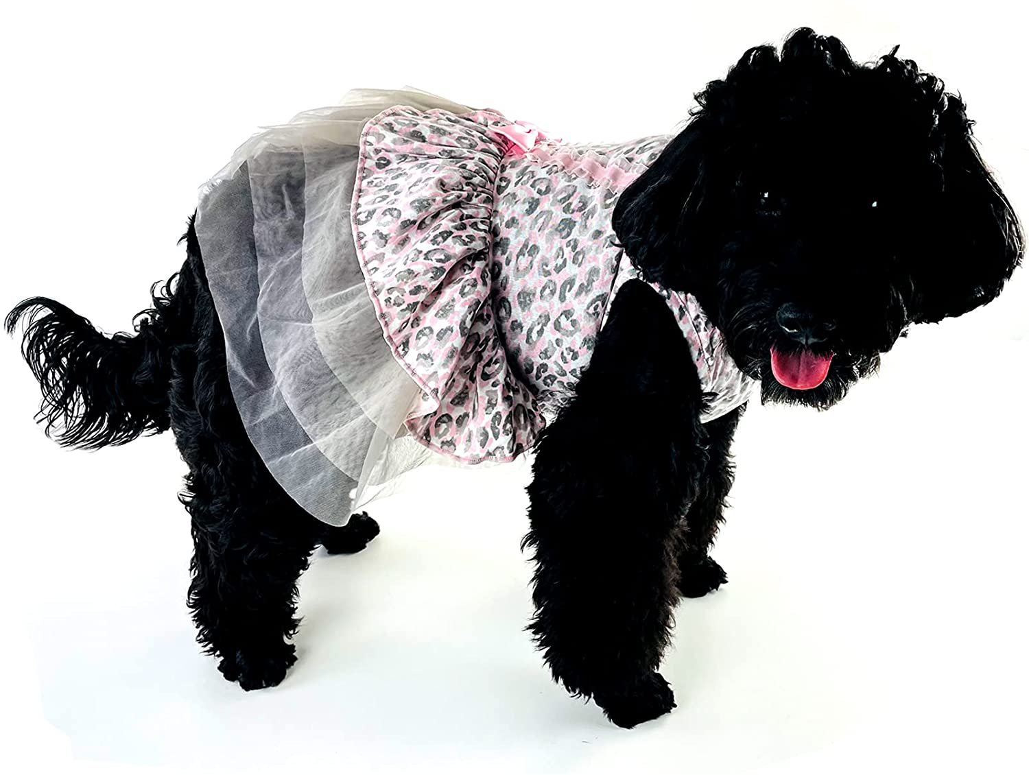 Dogs dressed in clothes hot sale