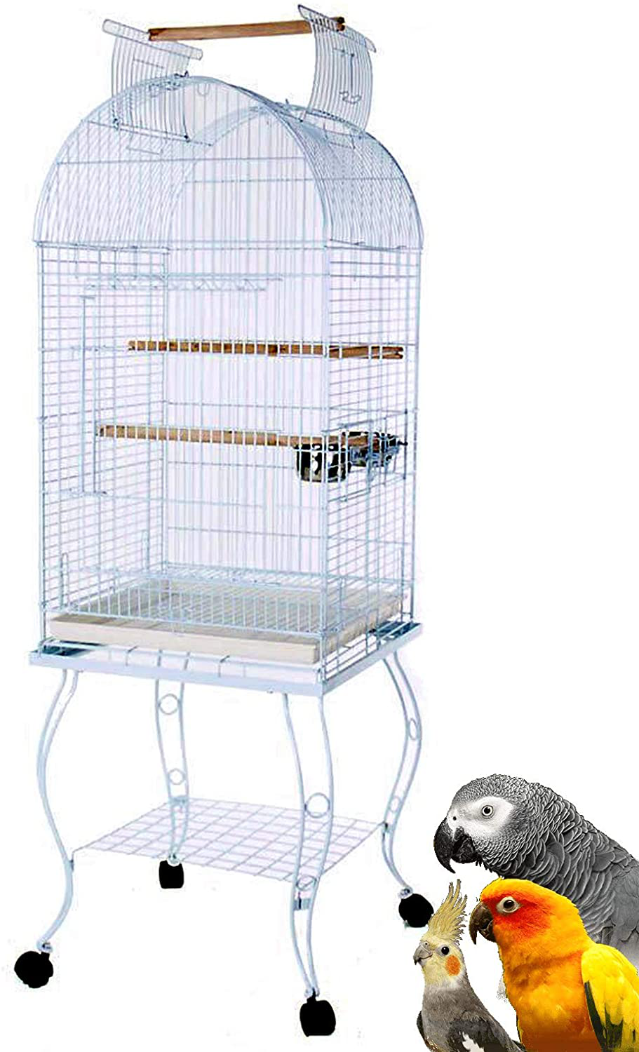 Mcage Bird Parrot Cage Cockatiel Amazon African Grey Caique Conure, 20 X 20 X 65 H Animals & Pet Supplies > Pet Supplies > Bird Supplies > Bird Cages & Stands Mcage   