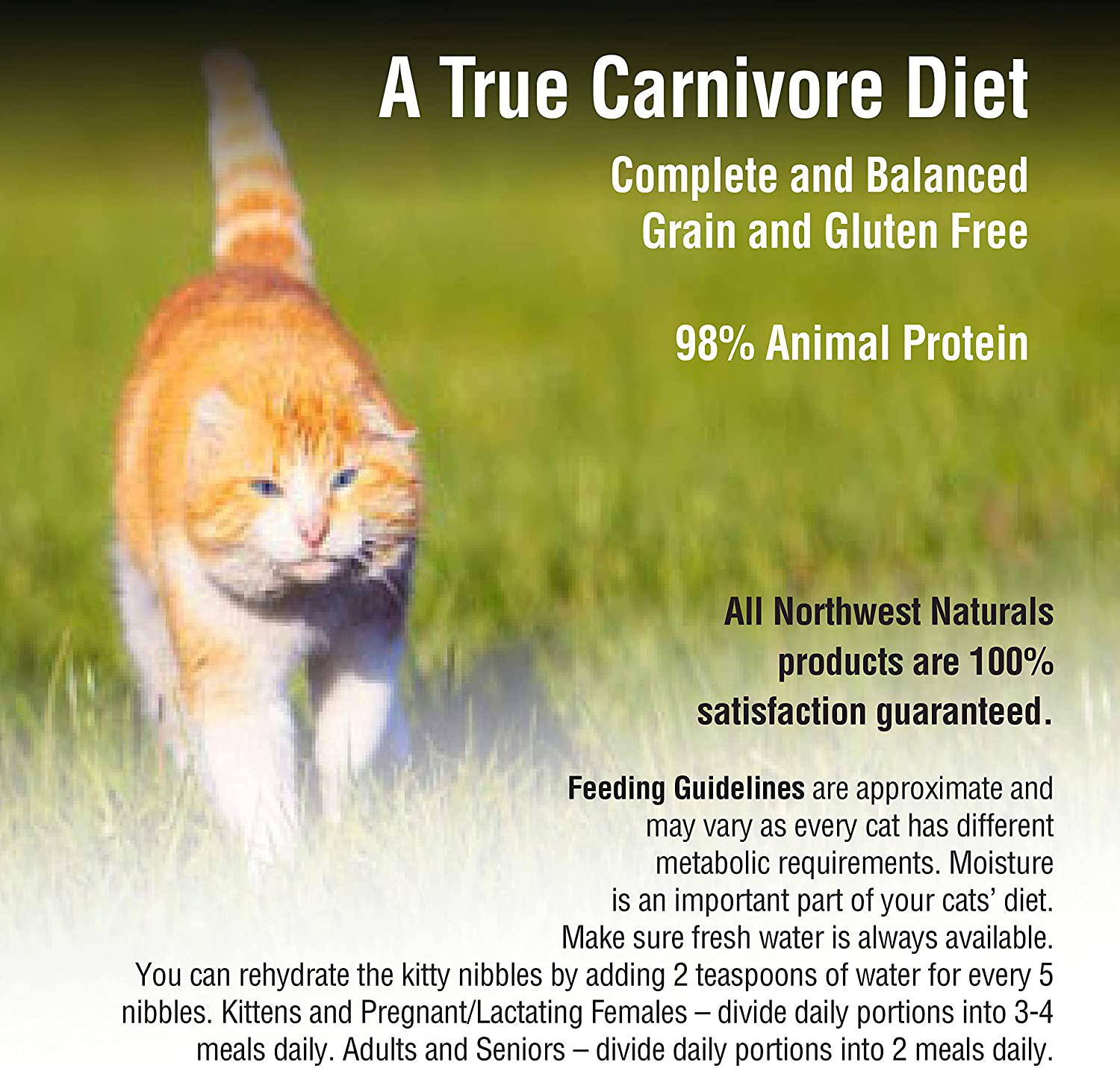 Northwest Naturals Freeze Dried Diet for Cats – Grain-Free, Gluten-Free Pet Food, Cat Training Treats – 1-4 Oz. Animals & Pet Supplies > Pet Supplies > Cat Supplies > Cat Treats Northwest Naturals   