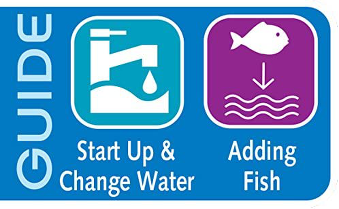 API ALGAE SCRAPER for Glass Aquariums 1-Count Container Animals & Pet Supplies > Pet Supplies > Fish Supplies > Aquarium Cleaning Supplies API   