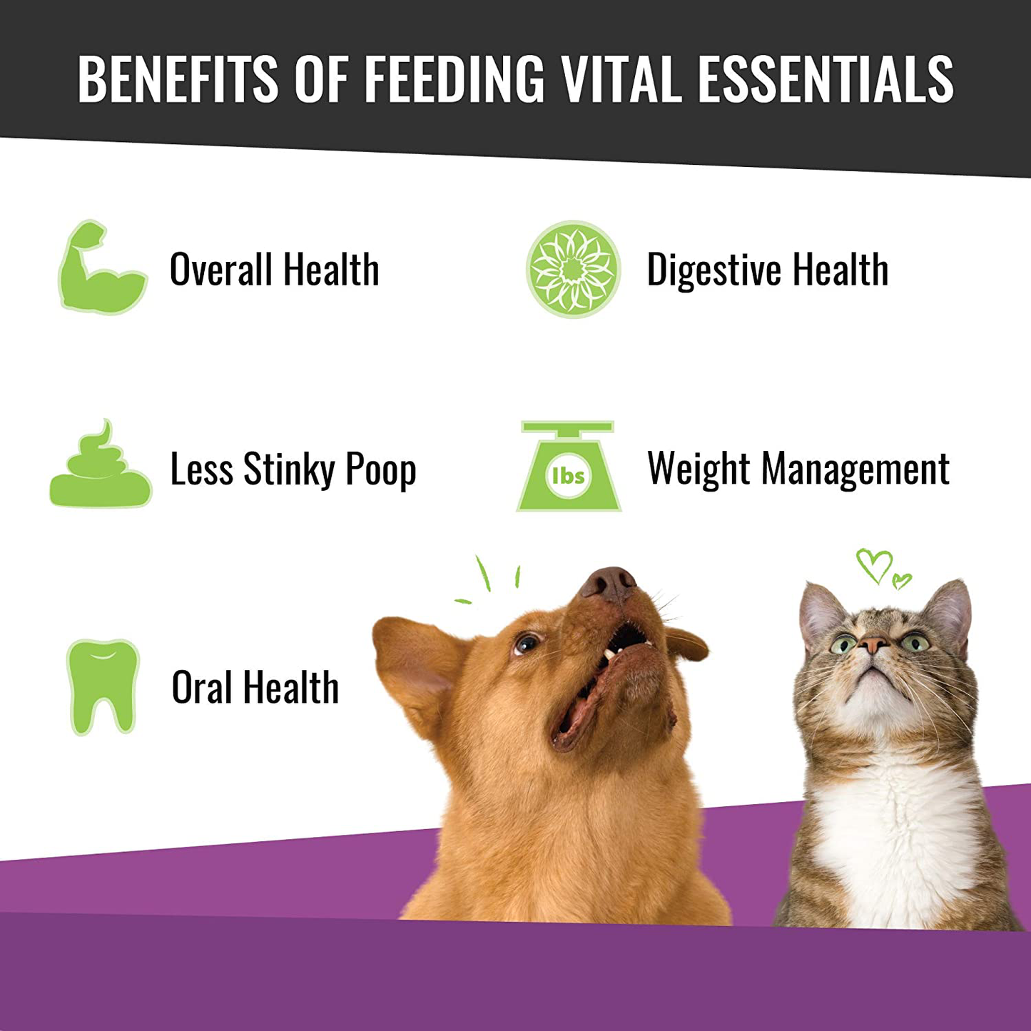 Vital Essentials Vital Cat Freeze-Dried Cat Treats - All Natural - Resealable Bag Animals & Pet Supplies > Pet Supplies > Cat Supplies > Cat Treats Vital Essentials   