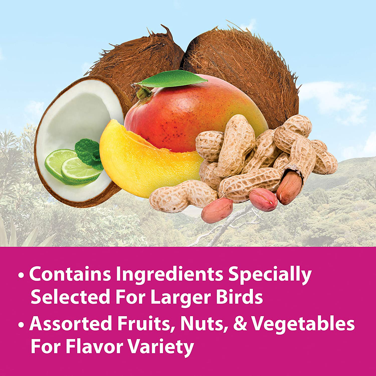 Kaytee Gourmet Big Bites Macaw Food Animals & Pet Supplies > Pet Supplies > Bird Supplies > Bird Food Central Garden & Pet   